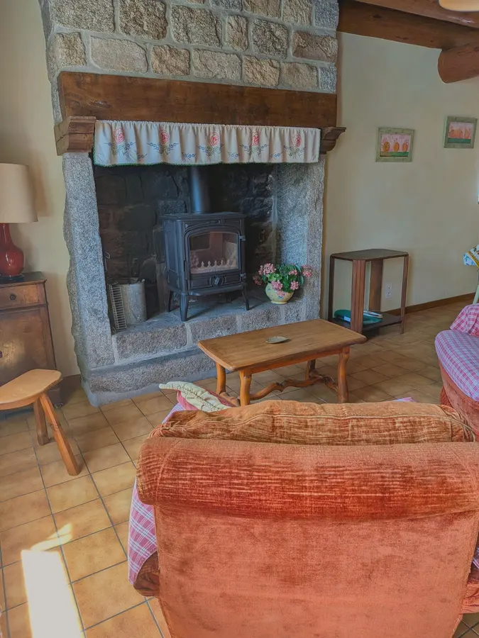 Salon avec cheminée — maison à vendre à La Vialette